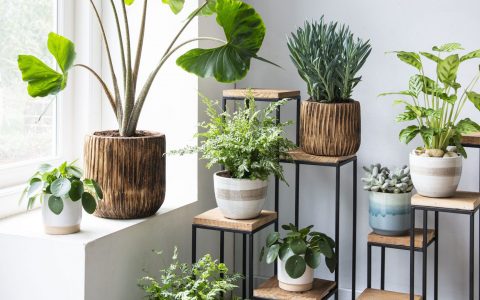 Fresh Ideas to Bring the Outdoors Inside