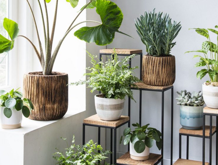 Fresh Ideas to Bring the Outdoors Inside